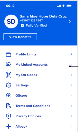 My Linked Accounts